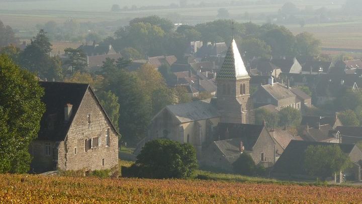 Private Full-Day Burgundy Minivan Tour: 10 Premiers and Grands Crus, Lunch, 15-20 Wines (2/12)