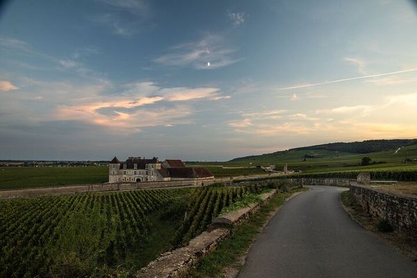 Full-Day Private Côte de Nuits Red Wine Tour by Minivan from Dijon or Beaune
