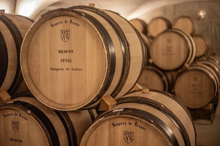 Full-Day Private Côte de Nuits Red Wine Tour by Minivan from Dijon or Beaune (5/7)