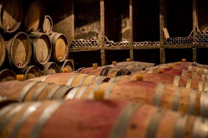 Full-Day Private Côte de Nuits Red Wine Tour by Minivan from Dijon or Beaune (2/7)