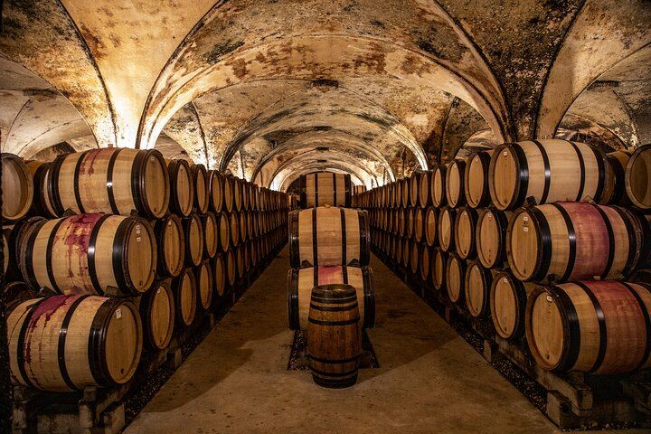 Full-Day Private Côte de Beaune Chardonnay Tour by Minivan with a Native Wine Guide (3/9)