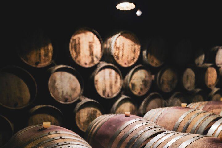 Full-Day Private Côte de Beaune Chardonnay Tour by Minivan with a Native Wine Guide (9/9)