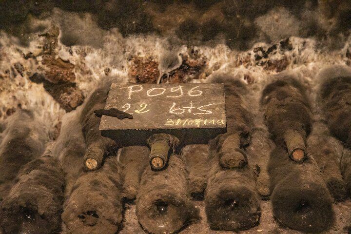 Full-Day Private Côte de Nuits Red Wine Tour by Minivan from Dijon or Beaune (6/7)