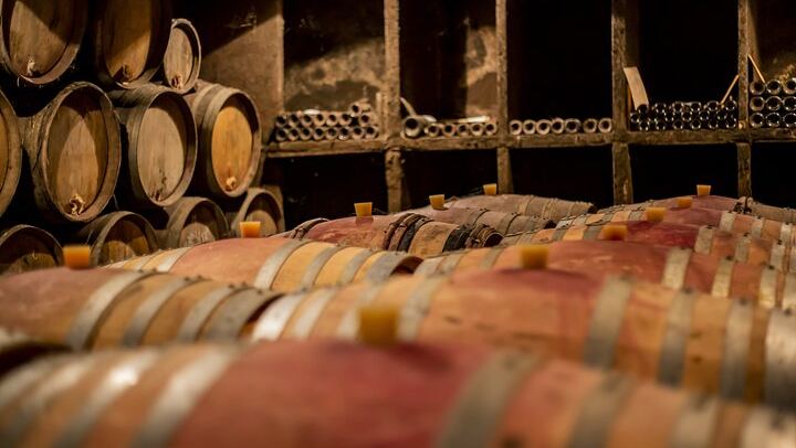 Full-Day Private Côte de Nuits Red Wine Tour by Minivan from Dijon or Beaune (2/7)