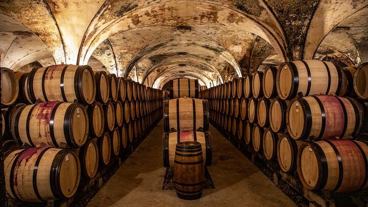 Full-Day Private Côte de Beaune Chardonnay Tour by Minivan with a Native Wine Guide (3/9)