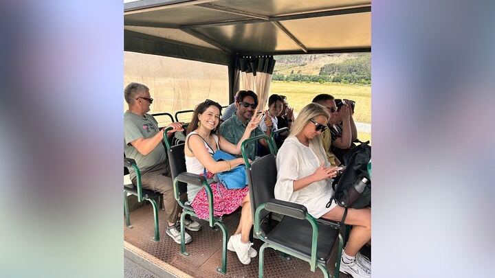 Shared Full-Day Stellenbosch Wine Tasting and Franschhoek Wine Tram Tour (4/12)