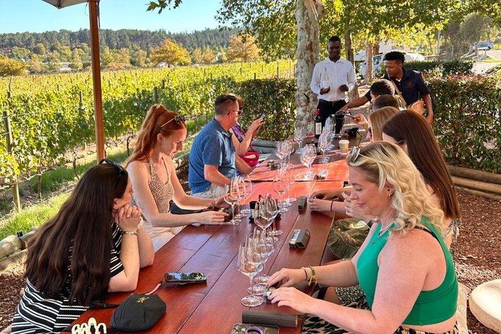 Shared Full-Day Stellenbosch Wine Tasting and Franschhoek Wine Tram Tour (5/12)