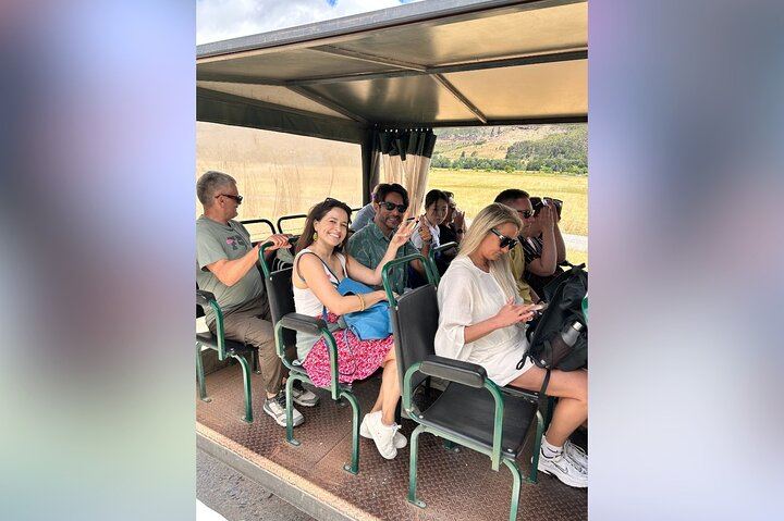 Shared Full-Day Stellenbosch Wine Tasting and Franschhoek Wine Tram Tour (4/12)