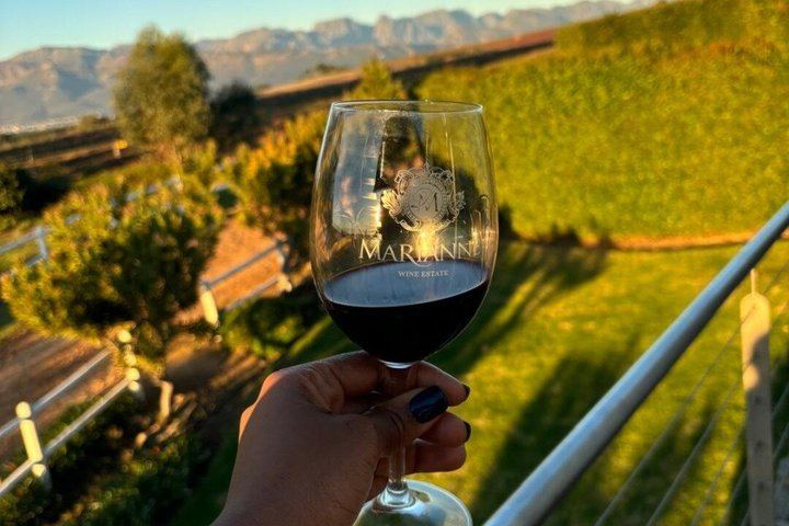 Shared Full-Day Stellenbosch Wine Tasting and Franschhoek Wine Tram Tour (11/12)