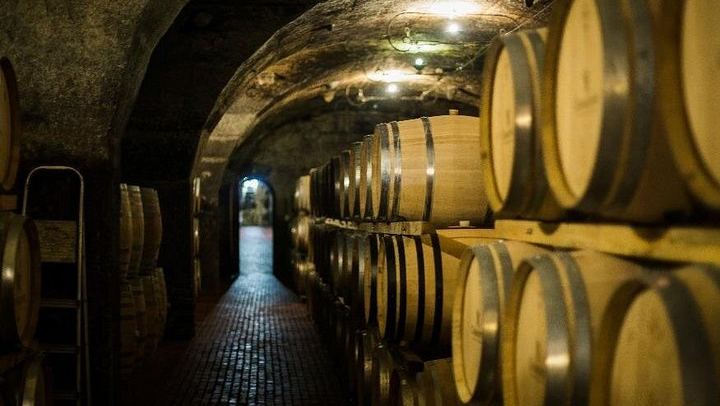 Stellenbosch Wine Day Tour, Max 13 Guests: Simonsig, Mitre's Edge, Middelvlei Braai (2/8)