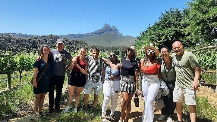 Stellenbosch Wine Day Tour, Max 13 Guests: Simonsig, Mitre's Edge, Middelvlei Braai (3/8)