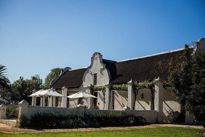Stellenbosch Wine Day Tour, Max 13 Guests: Simonsig, Mitre's Edge, Middelvlei Braai (1/8)