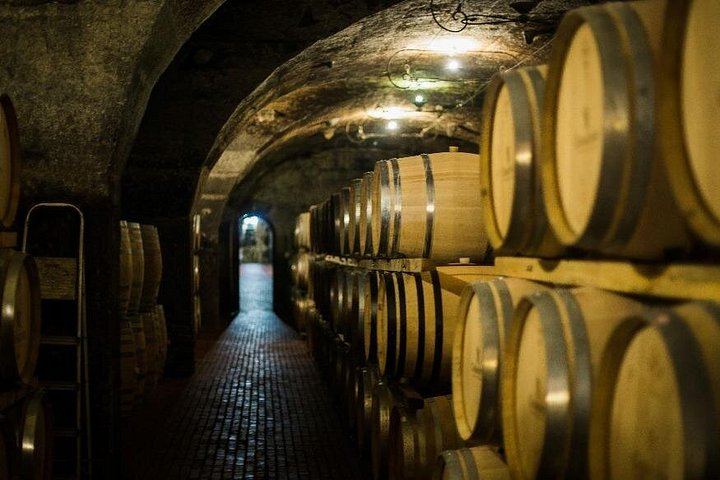Stellenbosch Wine Day Tour, Max 13 Guests: Simonsig, Mitre's Edge, Middelvlei Braai (2/8)