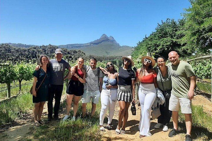 Stellenbosch Wine Day Tour, Max 13 Guests: Simonsig, Mitre's Edge, Middelvlei Braai (3/8)