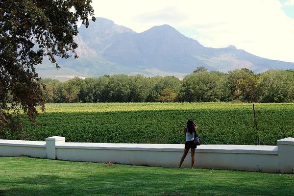 African Story 8-Hour Winelands Tour: Paarl, Franschhoek and Stellenbosch Estates