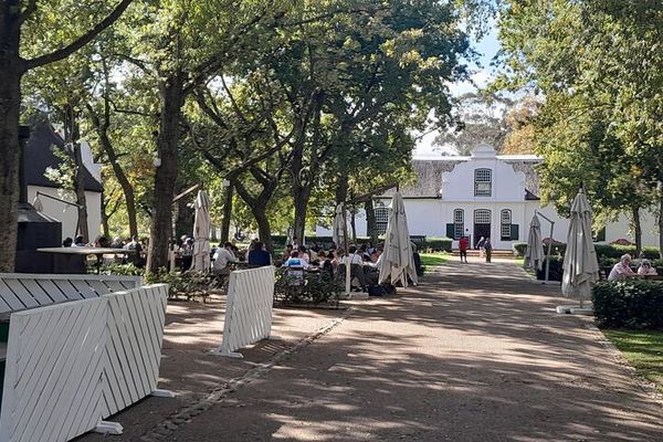 Full-Day Private Wine Tasting: Spier, Waterford, Delaire Graff, Boschendal and Fairview