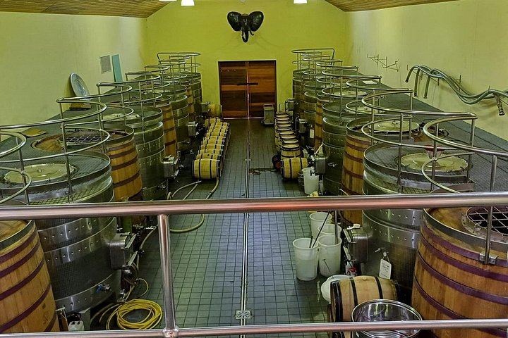 Paarl, Franschhoek and Stellenbosch Day Tour: Huguenot History, Mandela Prison, 3 Tastings (10/10)