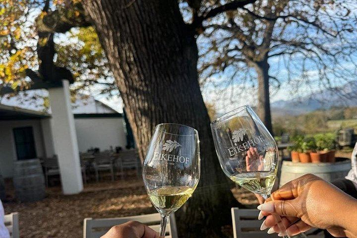 Paarl, Franschhoek and Stellenbosch Day Tour: Huguenot History, Mandela Prison, 3 Tastings (1/10)