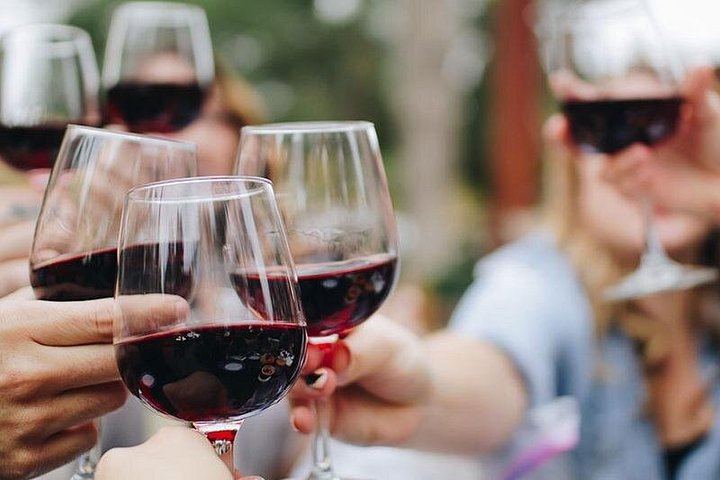 Paarl, Franschhoek and Stellenbosch Day Tour: Huguenot History, Mandela Prison, 3 Tastings (4/10)