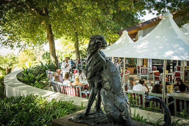 Private Full-Day Stellenbosch Wine Route Tour with Guide, Vehicle and Cellar Visits (1/11)