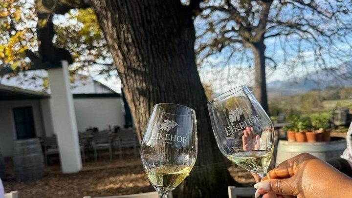 Paarl, Franschhoek and Stellenbosch Day Tour: Huguenot History, Mandela Prison, 3 Tastings (1/10)
