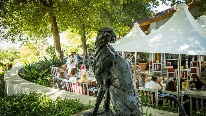Private Full-Day Stellenbosch Wine Route Tour with Guide, Vehicle and Cellar Visits (1/11)
