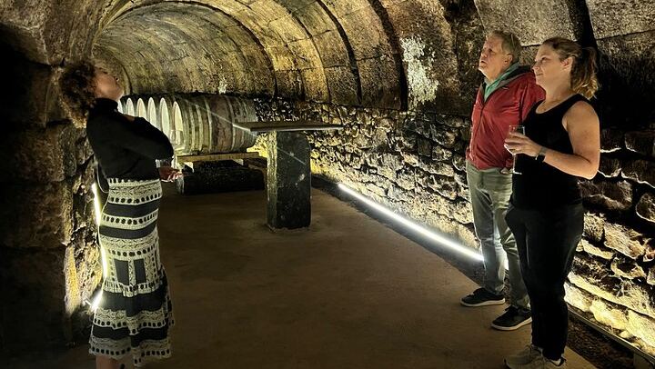 Rioja Full-Day Wine Tour from San Sebastian: Small Wineries and Laguardia (1/12)