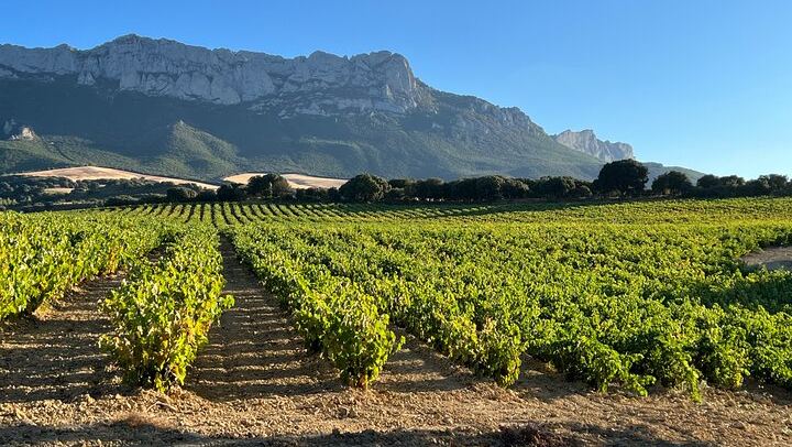 Rioja Full-Day Wine Tour from San Sebastian: Small Wineries and Laguardia (3/12)