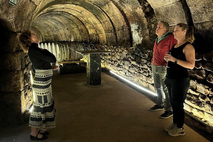 Rioja Full-Day Wine Tour from San Sebastian: Small Wineries and Laguardia (1/12)