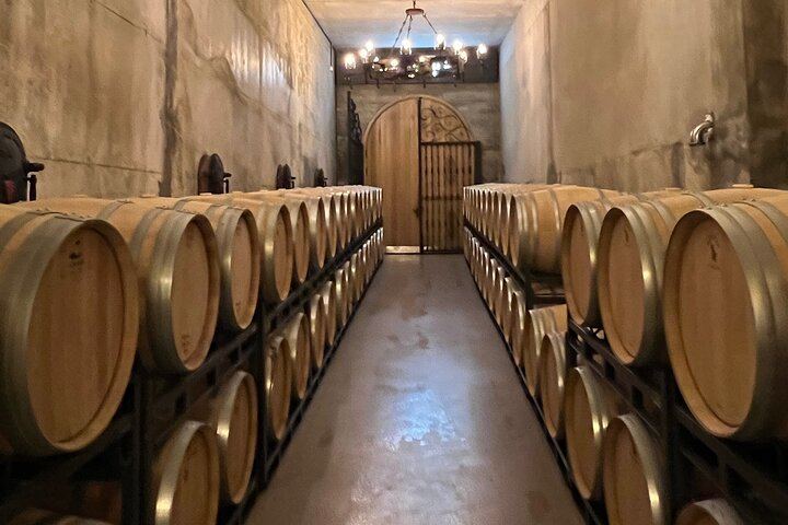 Rioja Full-Day Wine Tour from San Sebastian: Small Wineries and Laguardia (11/12)