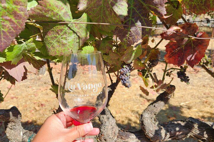 Full-Day Napa and Sonoma Winery Tour from Fisherman's Wharf with Three Estate Tours (7/12)