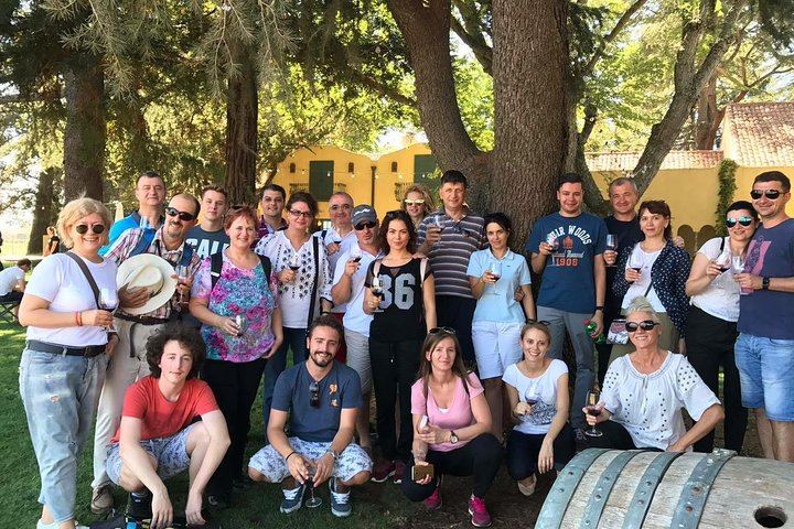 Shore Excursion Napa and Sonoma Full-Day Wine Tour: Madonna, Sutter Home, Ru Vango (2/6)