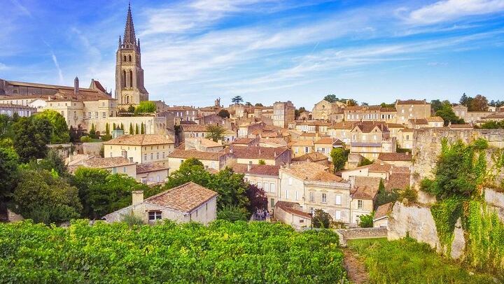 Private Full-Day Saint-Émilion Tour from Bordeaux with Olala Bordeaux, 3 Wineries (2/12)