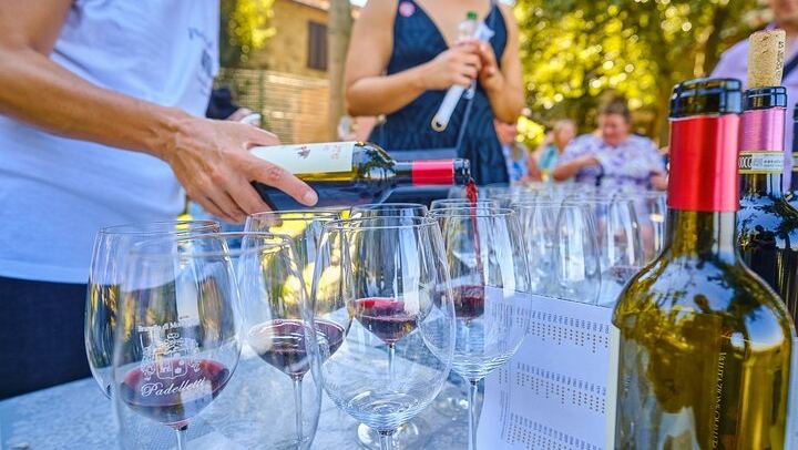 CiaoFlorence Val d'Orcia Day Tour from Florence: Montalcino, Pienza and Montepulciano (3/12)