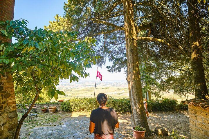 CiaoFlorence Val d'Orcia Day Tour from Florence: Montalcino, Pienza and Montepulciano (7/12)
