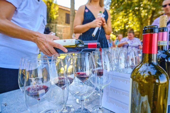 CiaoFlorence Val d'Orcia Day Tour from Florence: Montalcino, Pienza and Montepulciano (3/12)