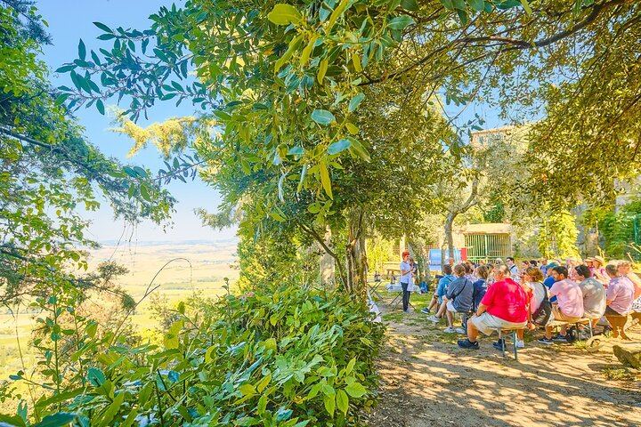 CiaoFlorence Val d'Orcia Day Tour from Florence: Montalcino, Pienza and Montepulciano (5/12)