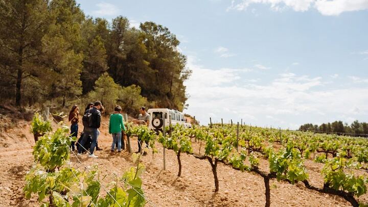 Early Montserrat Monastery Visit and Family Cava Winery Lunch with 4x4 Vineyard Ride (3/12)