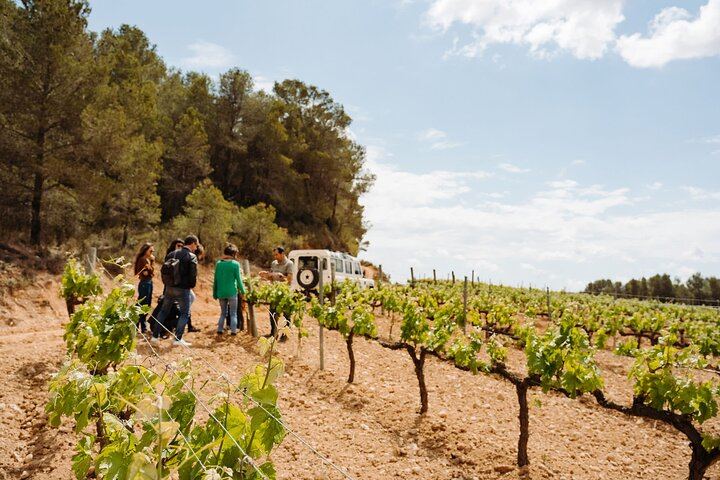 Early Montserrat Monastery Visit and Family Cava Winery Lunch with 4x4 Vineyard Ride (3/12)