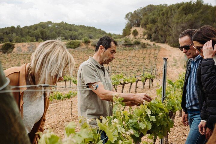 Early Montserrat Monastery Visit and Family Cava Winery Lunch with 4x4 Vineyard Ride (8/12)