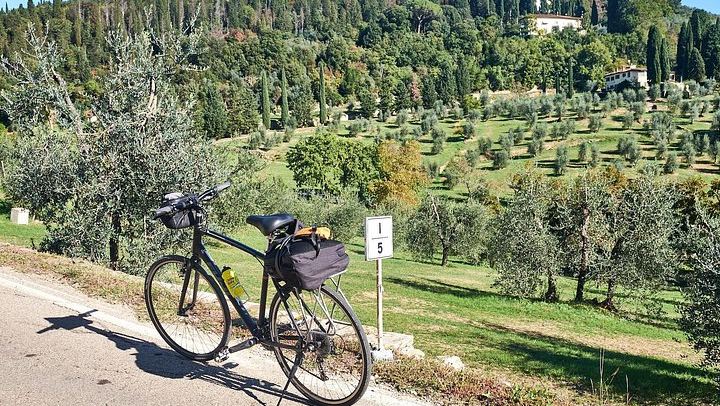 Full-Day Bike Ride from Florence through Chianti Hills, Family Winery and Lunch (2/12)
