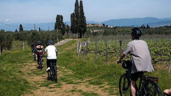 Full-Day Bike Ride from Florence through Chianti Hills, Family Winery and Lunch (1/12)