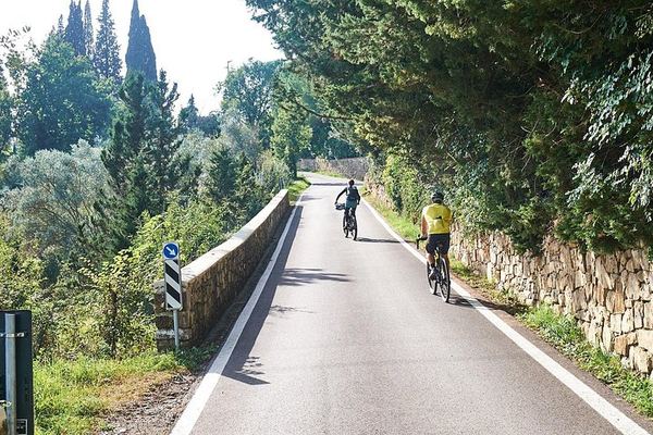 Full-Day Bike Ride from Florence through Chianti Hills, Family Winery and Lunch