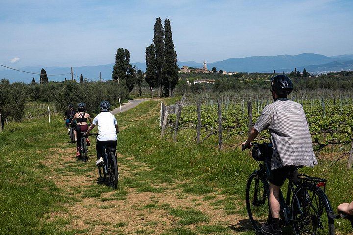 Full-Day Bike Ride from Florence through Chianti Hills, Family Winery and Lunch (1/12)