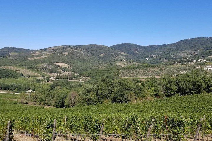 Full-Day Bike Ride from Florence through Chianti Hills, Family Winery and Lunch (11/12)