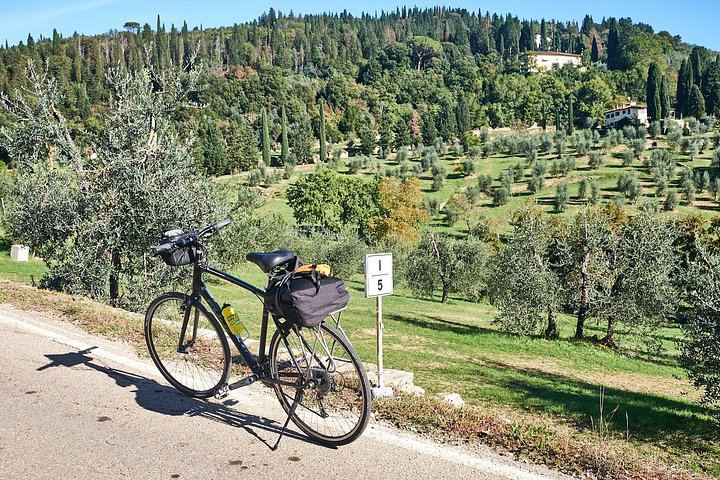 Full-Day Bike Ride from Florence through Chianti Hills, Family Winery and Lunch (2/12)