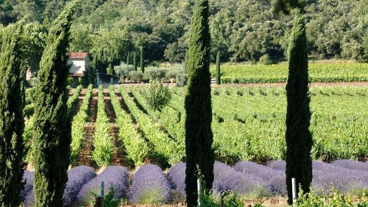 Full-Day South Luberon Wine Tour from Marseille with Three Wineries and Lourmarin Lunch (1/5)