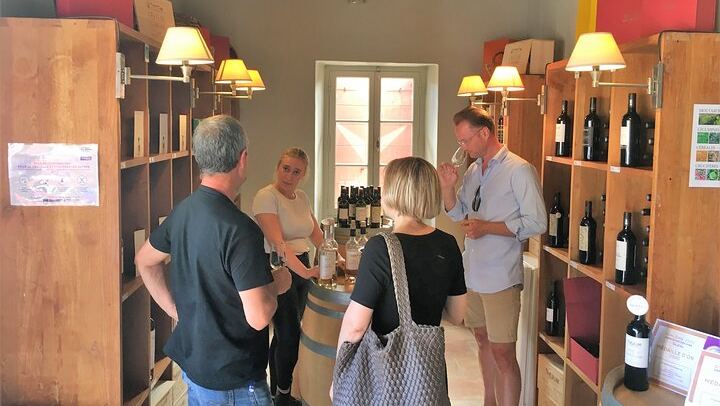 Full-Day South Luberon Wine Tour from Marseille with Three Wineries and Lourmarin Lunch (3/5)
