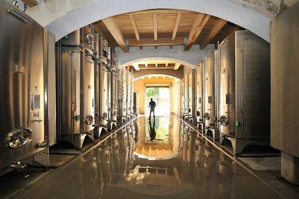 Full-Day South Luberon Wine Tour from Marseille with Three Wineries and Lourmarin Lunch