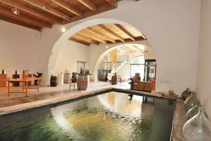 Full-Day South Luberon Wine Tour from Marseille with Three Wineries and Lourmarin Lunch (2/5)